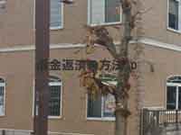 栃木フォレスト法律事務所